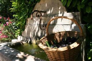 Sous Les Figuiers - Piscine, Parking, Centre Hotel
